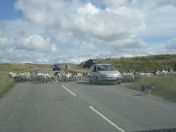 265.jpg - 2010:08:10 14:19:13