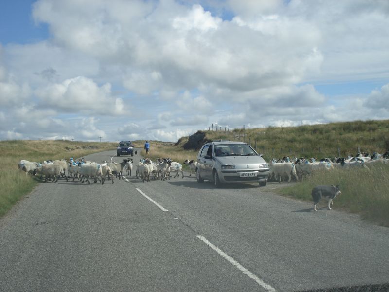 Viewing photos→2010→2010-08-07→265