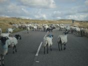 266.jpg - 2010:08:10 14:20:12