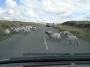 267.jpg - 2010:08:10 14:20:26