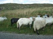 268.jpg - 2010:08:10 14:20:34