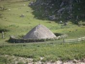 272.jpg - 2010:08:10 15:34:48