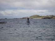 284.jpg - 2010:08:10 15:54:31