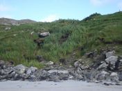 285.jpg - 2010:08:10 15:55:04