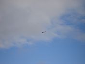 291.jpg - 2010:08:10 16:30:35