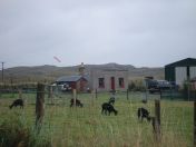 304.jpg - 2010:08:11 12:11:24