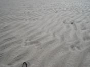 328.jpg - 2010:08:11 15:39:05