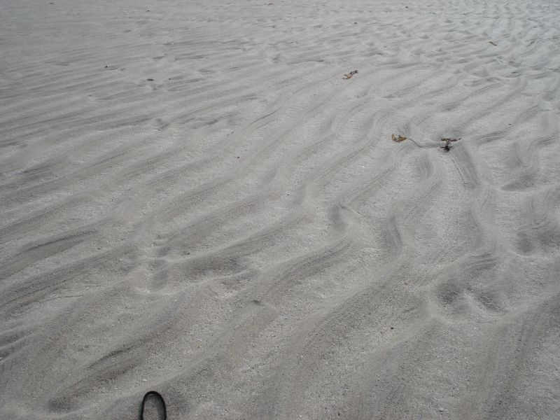 Viewing photos→2010→2010-08-07→328