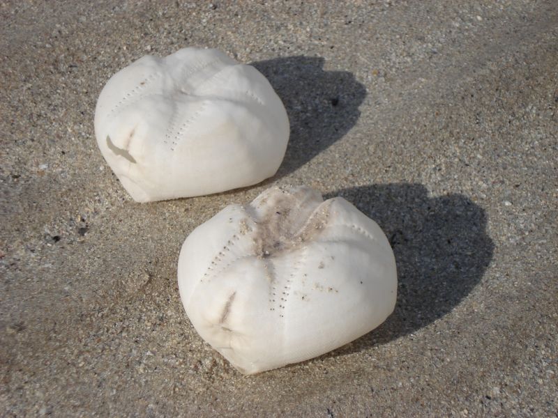 Viewing photos→2010→2010-08-07→339