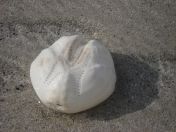 340.jpg - 2010:08:11 16:15:57