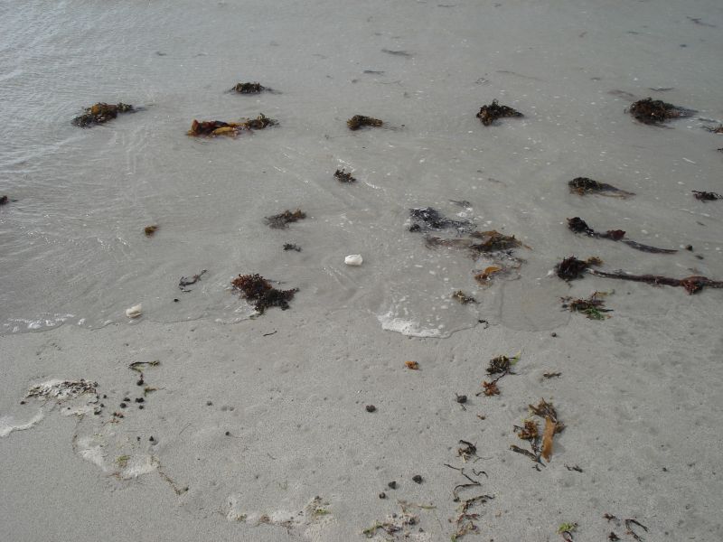 Viewing photos→2010→2010-08-07→342