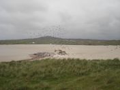 344.jpg - 2010:08:11 16:35:22