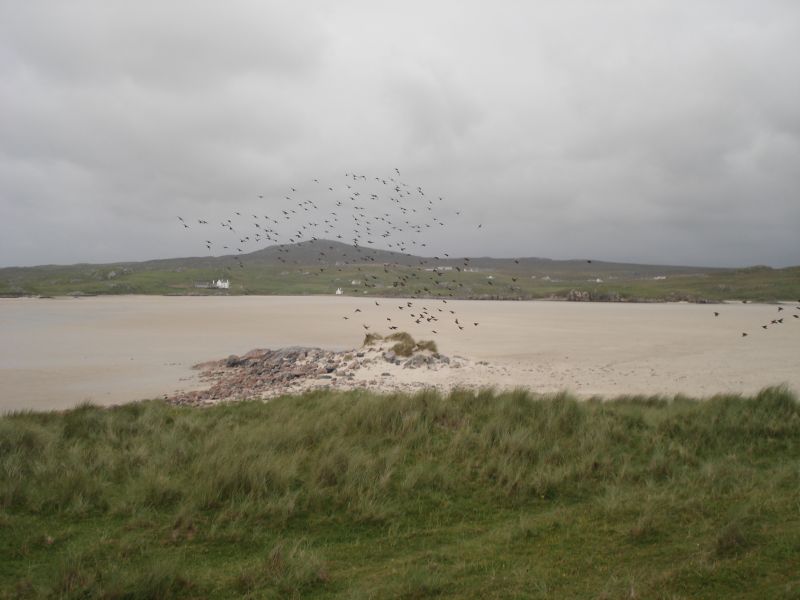 Viewing photos→2010→2010-08-07→344