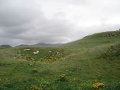 345.jpg - 2010:08:11 16:38:18