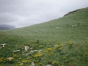 346.jpg - 2010:08:11 16:38:35