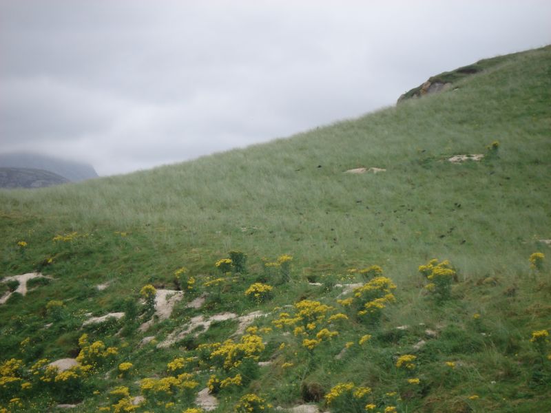 Viewing photos→2010→2010-08-07→346