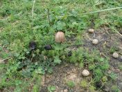 347.jpg - 2010:08:11 16:40:34