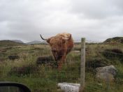 348.jpg - 2010:08:11 16:52:07