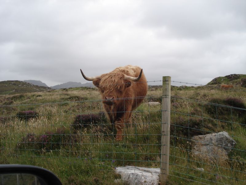 Viewing photos→2010→2010-08-07→348