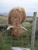 349.jpg - 2010:08:11 16:52:17