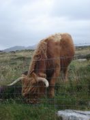 350.jpg - 2010:08:11 16:52:49