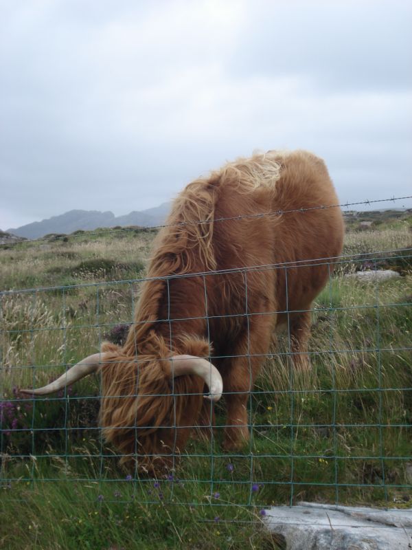 Viewing photos→2010→2010-08-07→350