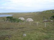 351.jpg - 2010:08:12 11:20:05