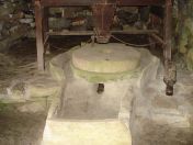 355.jpg - 2010:08:12 11:25:48