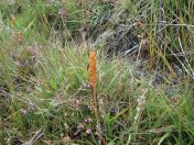 360.jpg - 2010:08:12 11:37:48