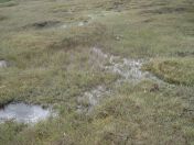 361.jpg - 2010:08:12 11:42:33