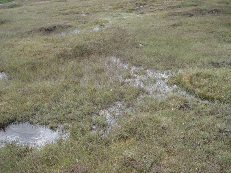 Viewing photos→2010→2010-08-07→361