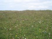 377.jpg - 2010:08:12 15:03:33