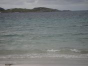 393.jpg - 2010:08:12 15:56:58