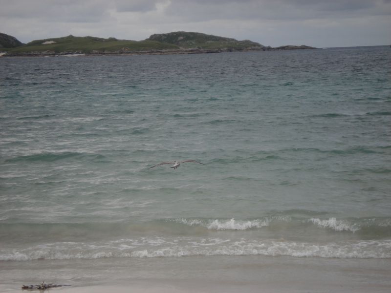 Viewing photos→2010→2010-08-07→393