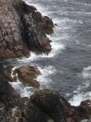 401.jpg - 2010:08:13 11:47:40