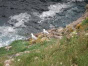 407.jpg - 2010:08:13 11:58:27