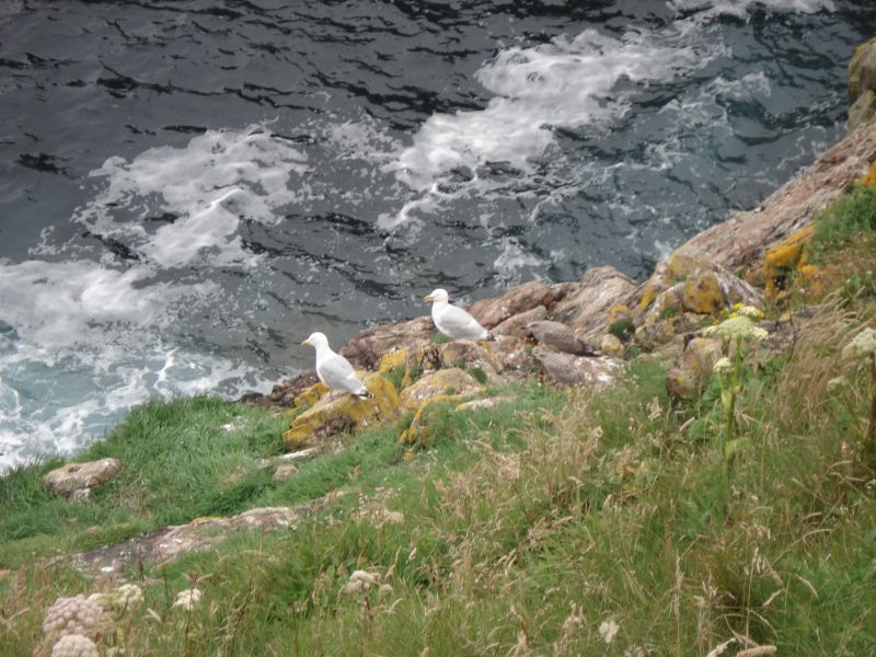 Viewing photos→2010→2010-08-07→407