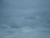 417.jpg - 2010:08:13 14:19:48