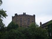 44.jpg - 2010:08:15 12:37:08