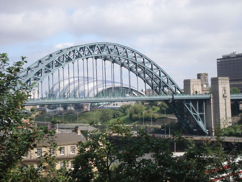 Viewing photos→2010→2010-08-15-2→11