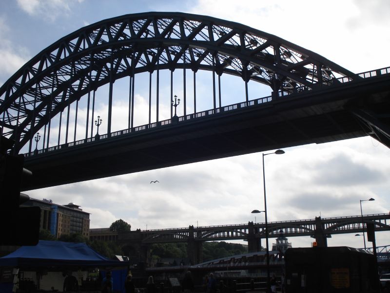 Viewing photos→2010→2010-08-15-2→31