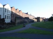 50.jpg - 2010:08:15 17:15:45