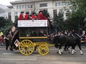 006.jpg - 2010:11:13 11:25:37