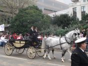 012.jpg - 2010:11:13 11:26:20