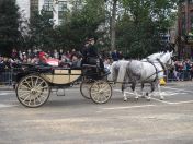 013.jpg - 2010:11:13 11:26:27