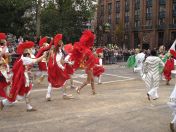 027.jpg - 2010:11:13 11:28:46