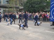 056.jpg - 2010:11:13 11:34:54