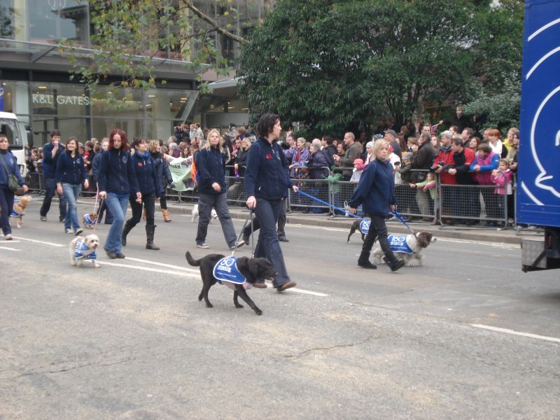 Viewing photos→2010→2010-11-13→056