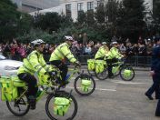 069.jpg - 2010:11:13 11:37:17