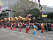 070.jpg - 2010:11:13 11:37:43